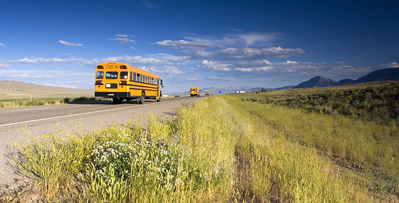 image of a school bus driving on an open road alongside a field following 2 other buses. 
